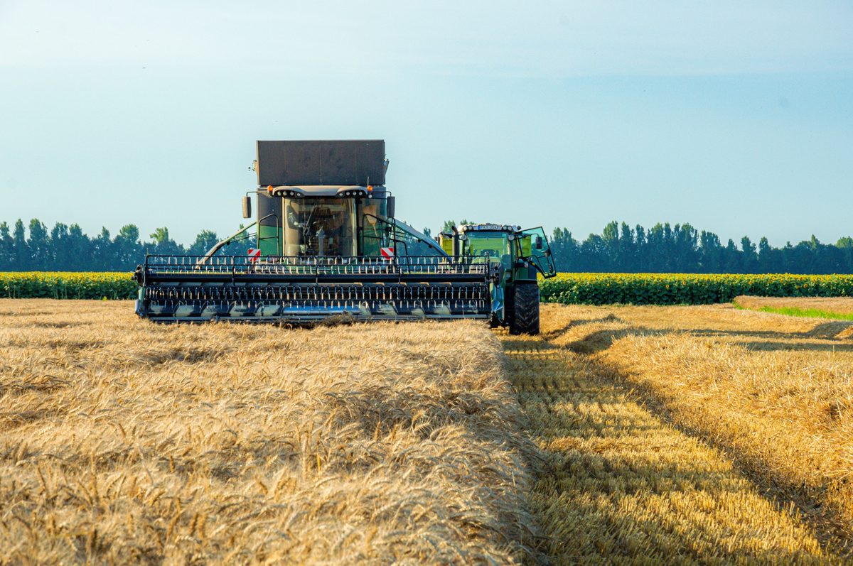 Agriculture field harvest