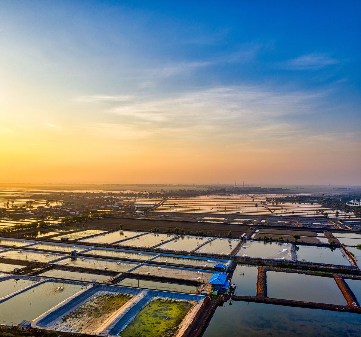 Aquaculture seafood pond